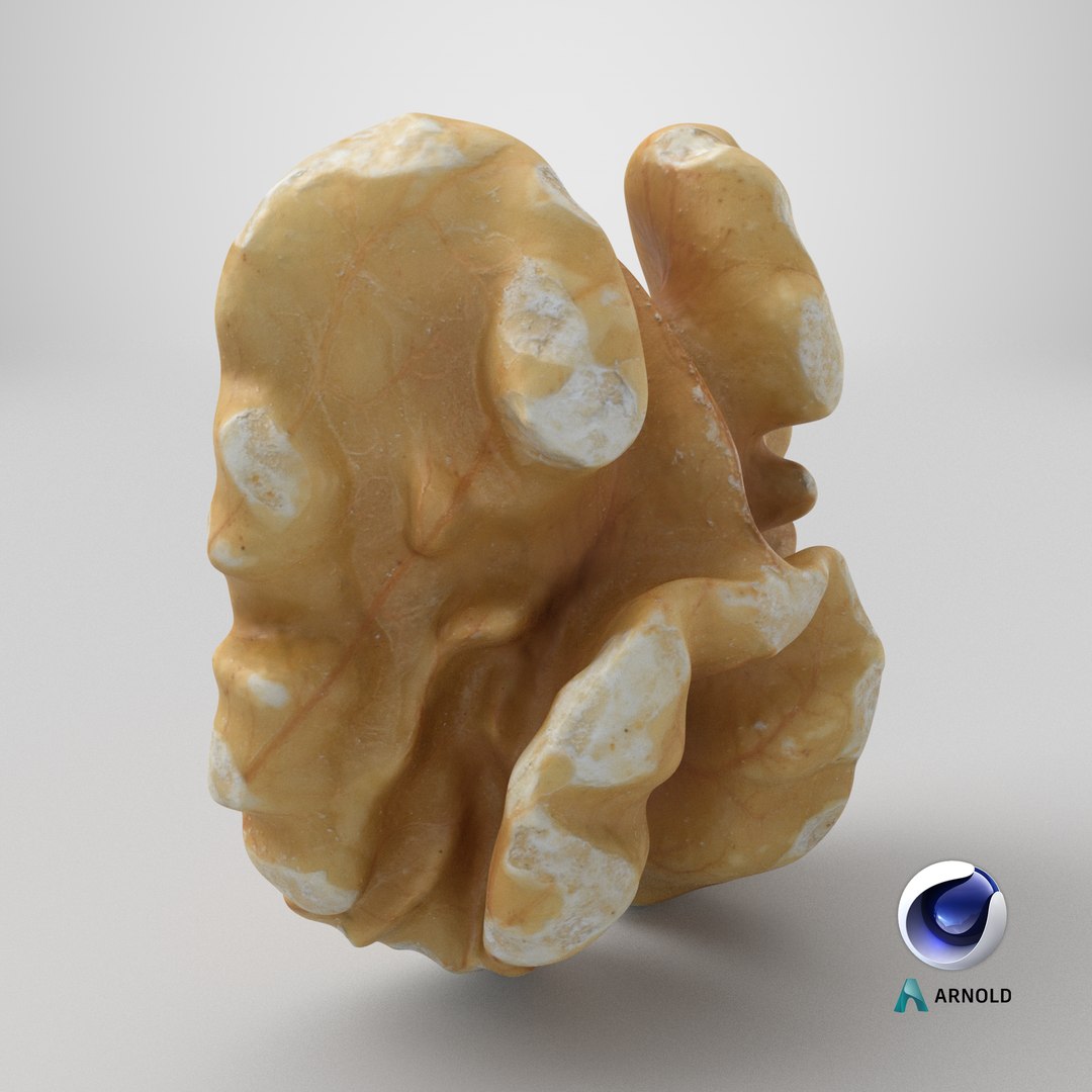 Walnut 03 - 3D Scanned 3D https://p.turbosquid.com/ts-thumb/yN/5AhcHJ/B2/stemcell_cinema_4d_arnold_render/png/1772733625/1920x1080/fit_q87/3276df72263354e160d8e7da6e699a1602947042/stemcell_cinema_4d_arnold_render.jpg