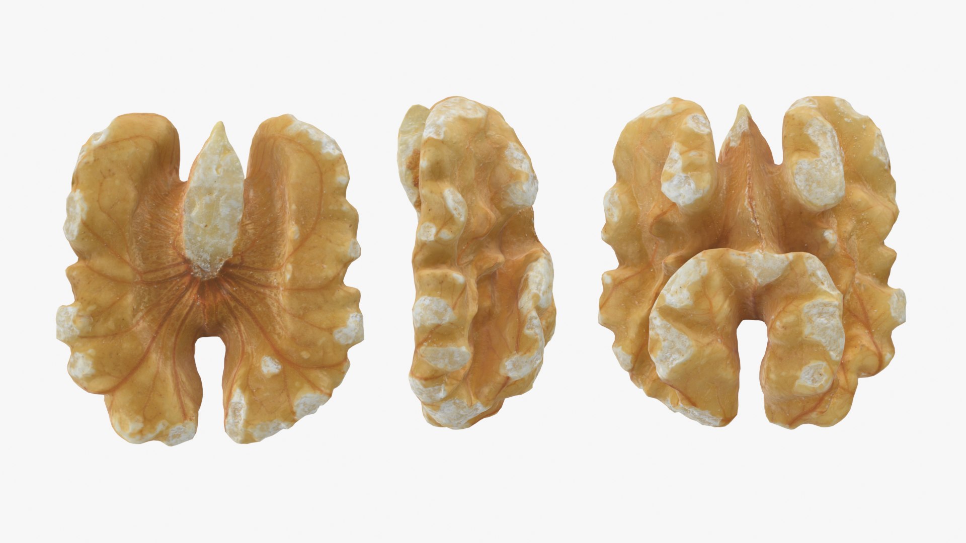 Walnut 03 - 3D Scanned 3D https://p.turbosquid.com/ts-thumb/yN/5AhcHJ/DQ/walnut03_0001b/png/1772122874/1920x1080/fit_q87/3a9f8e2b1918c8ffc4452292ce51f18c7b89ac14/walnut03_0001b.jpg