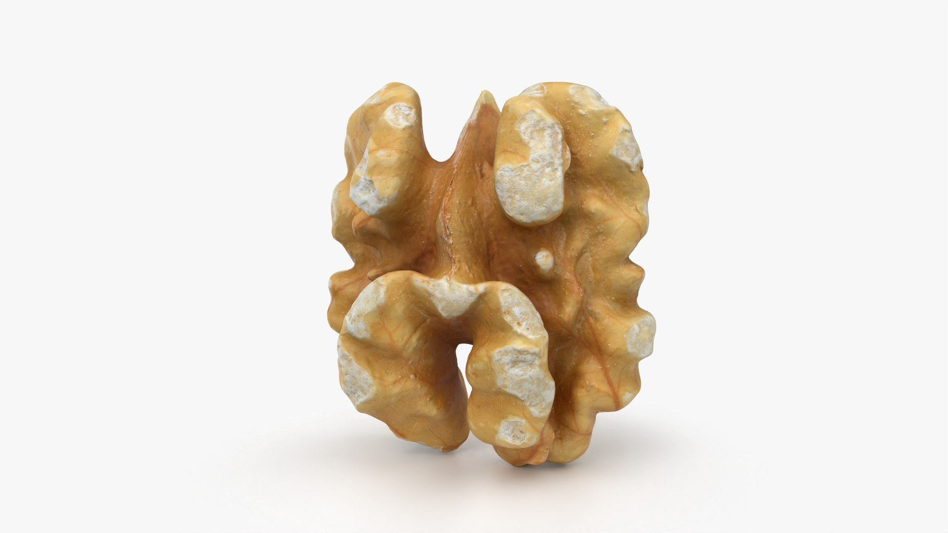 Walnut 03 - 3D Scanned 3D https://p.turbosquid.com/ts-thumb/yN/5AhcHJ/JI/walnut03_0003/png/1772122878/1920x1080/fit_q87/e55a7a3b5dc655d40a2c981fa9bb2bd702215830/walnut03_0003.jpg