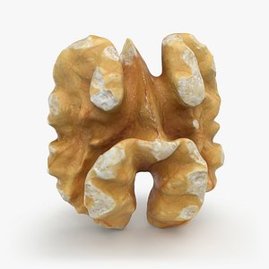 Walnut 03 - 3D Scanned 3D