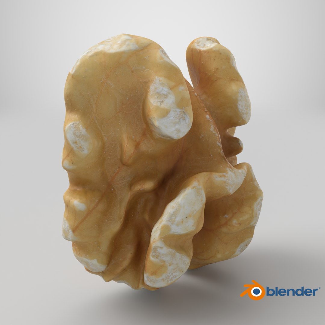 Walnut 03 - 3D Scanned 3D https://p.turbosquid.com/ts-thumb/yN/5AhcHJ/Tr/stemcell_blender_cycles_render/png/1772733618/1920x1080/fit_q87/a2574d1e47ac4786229cf60626038060b1de8cb3/stemcell_blender_cycles_render.jpg