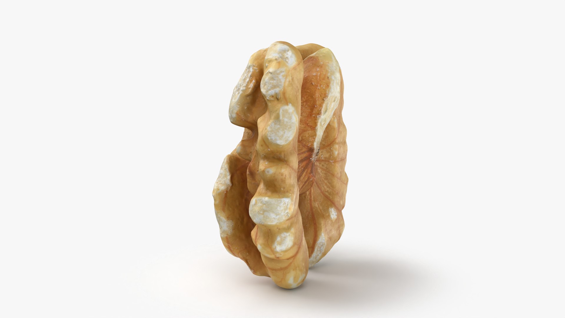 Walnut 03 - 3D Scanned 3D https://p.turbosquid.com/ts-thumb/yN/5AhcHJ/VJ/walnut03_0004/png/1772122881/1920x1080/fit_q87/efaa698f843c5450078239820e4fa6c36ed78a82/walnut03_0004.jpg