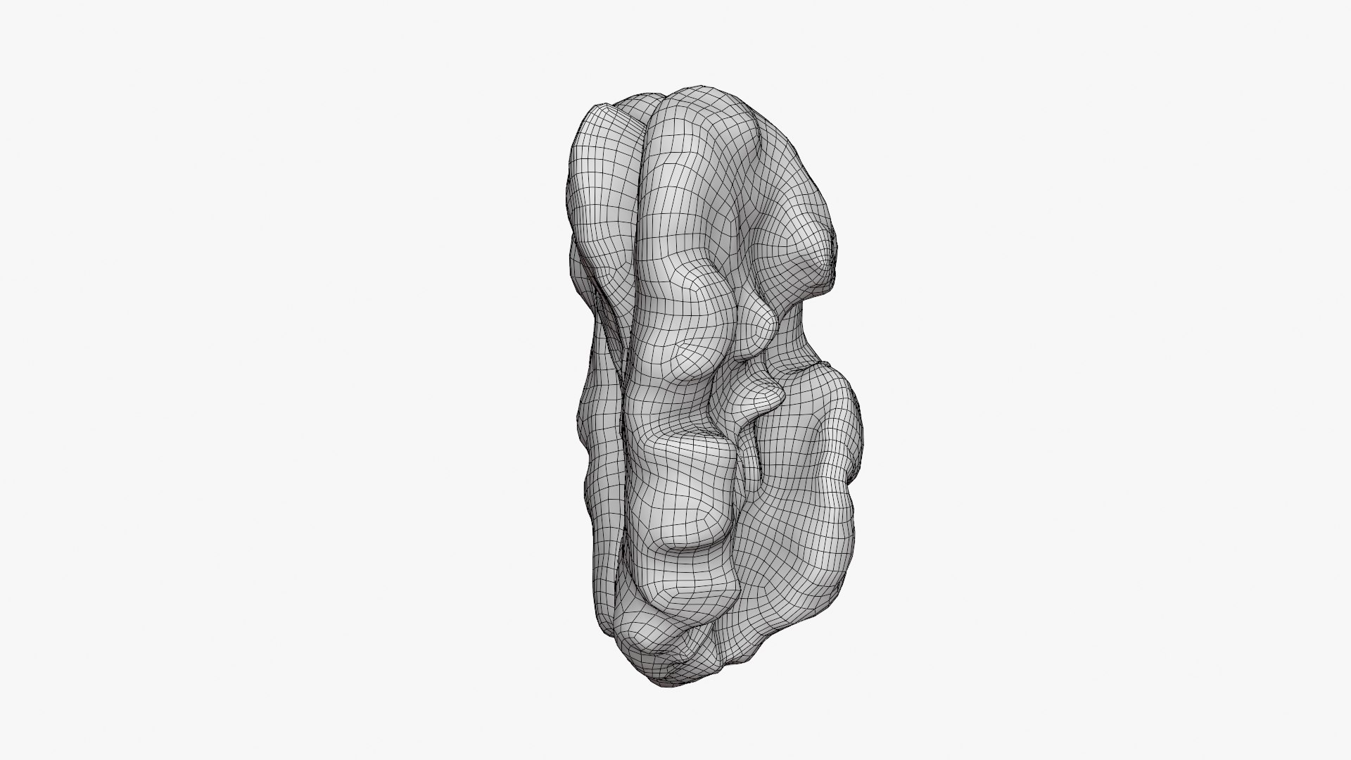 Walnut 03 - 3D Scanned 3D https://p.turbosquid.com/ts-thumb/yN/5AhcHJ/hL/walnut03_d0006/png/1772122895/1920x1080/fit_q87/1d87821e81a278db2428cd9d86ed56a669819d22/walnut03_d0006.jpg