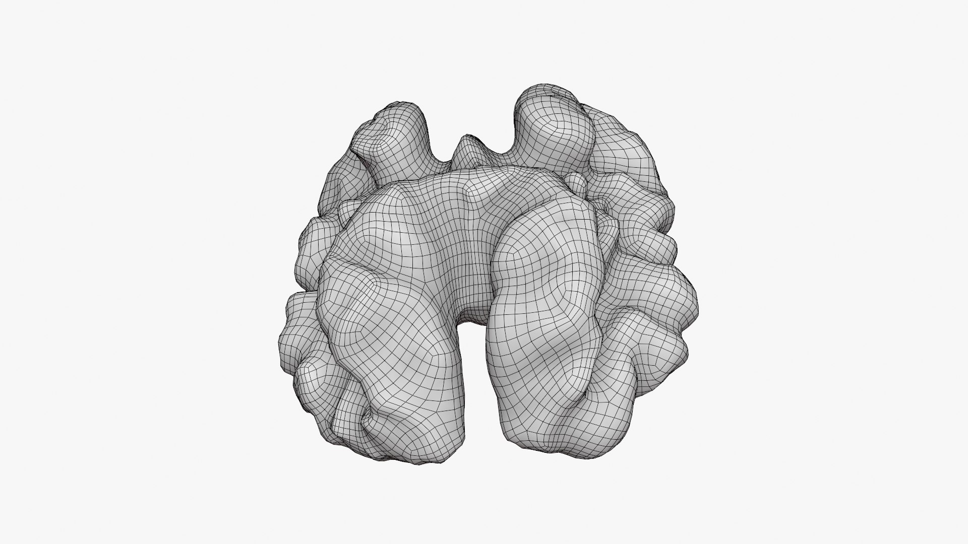Walnut 03 - 3D Scanned 3D https://p.turbosquid.com/ts-thumb/yN/5AhcHJ/oY/walnut03_d000/png/1772122894/1920x1080/fit_q87/966bbc65145adb05c765431666754c54bdadceab/walnut03_d000.jpg