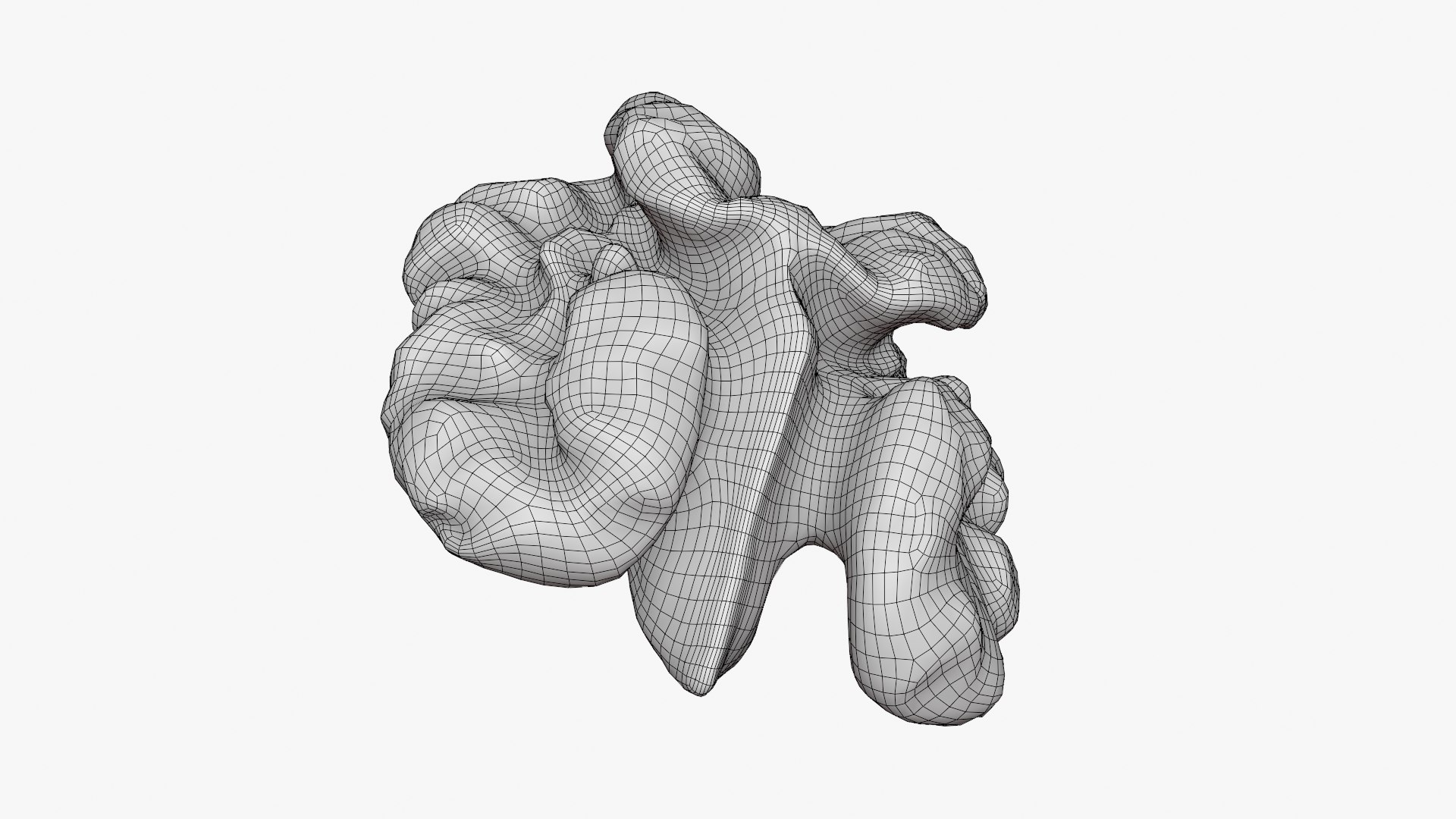 Walnut 03 - 3D Scanned 3D https://p.turbosquid.com/ts-thumb/yN/5AhcHJ/tj/walnut03_d0008/png/1772122898/1920x1080/fit_q87/3b5d6f575d6b65af1f759907f6b0ee86bac08de2/walnut03_d0008.jpg