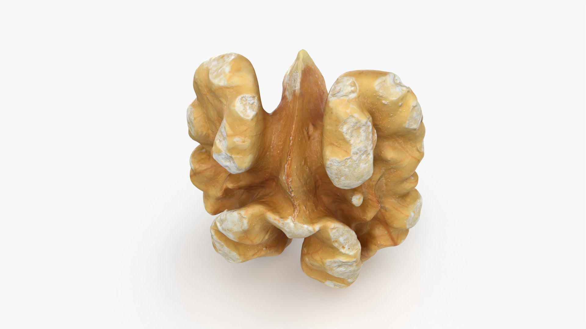 Walnut 03 - 3D Scanned 3D https://p.turbosquid.com/ts-thumb/yN/5AhcHJ/wZ/walnut03_0005/png/1772122892/1920x1080/fit_q87/88db8d8c11d2edbe35cefe502d385a6fc48dbed6/walnut03_0005.jpg