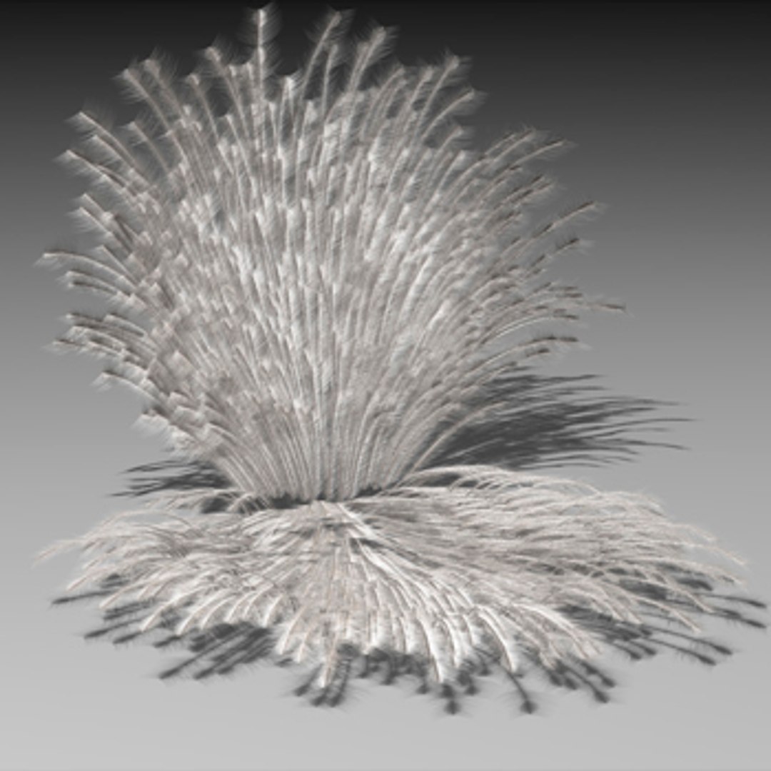 White Feather Shell 3d Model