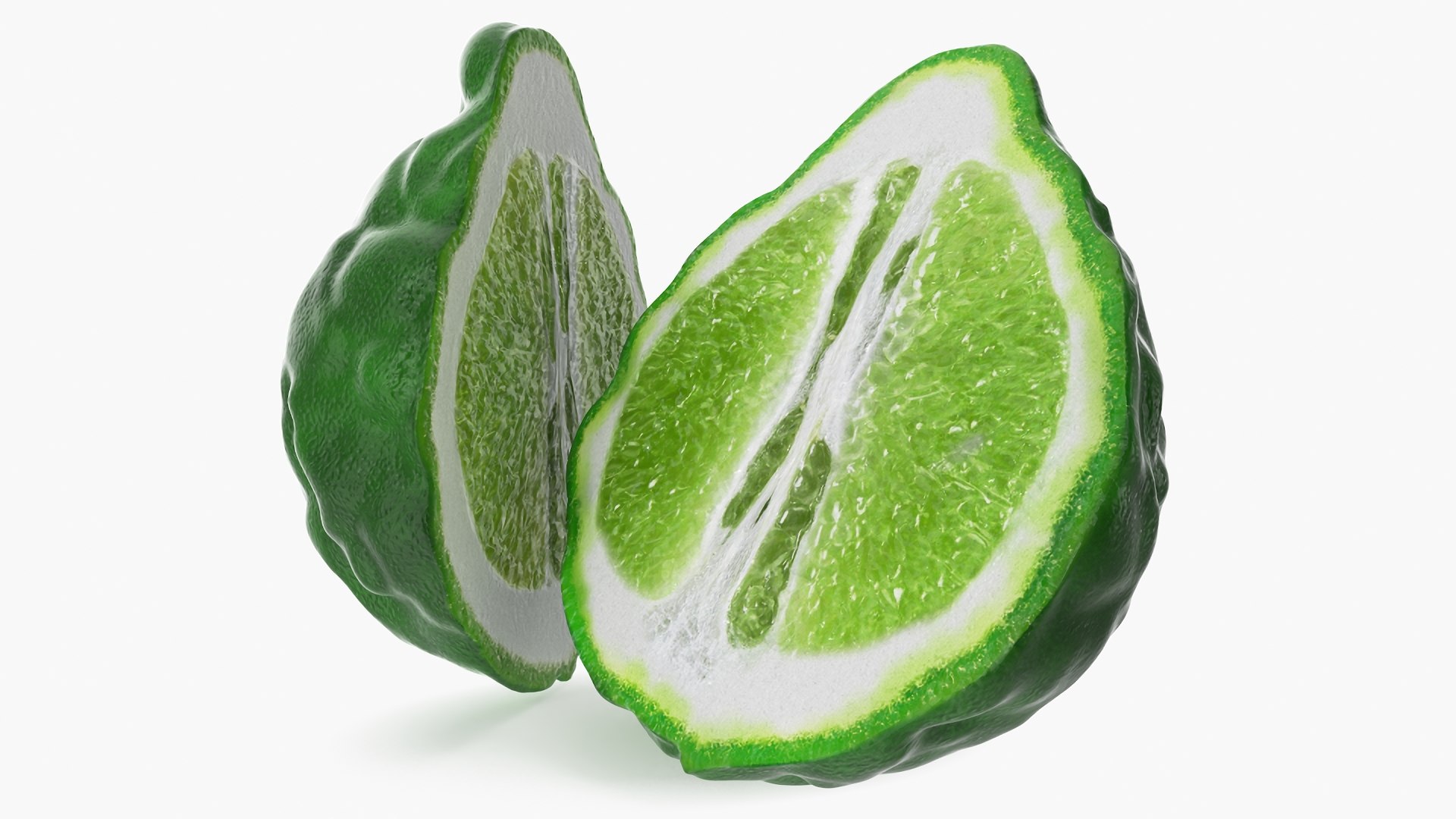 Bergamot Half 3D model preview