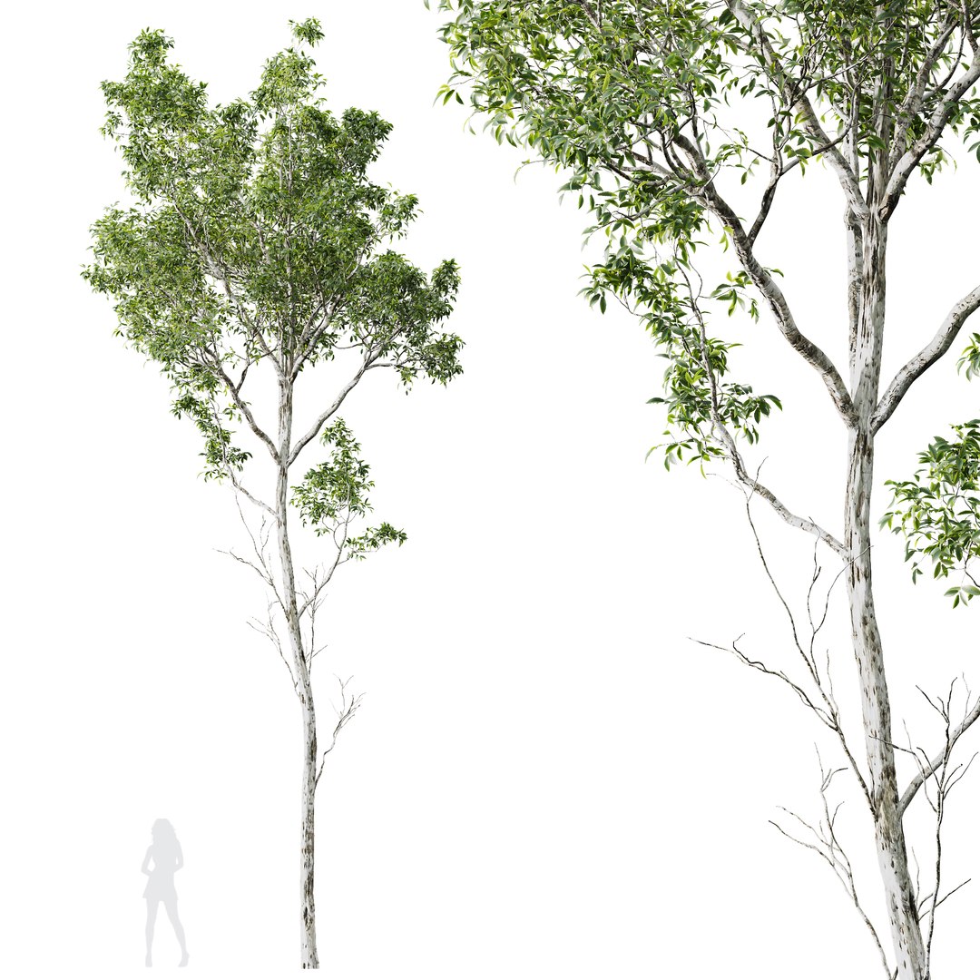 3D 6 Different SETS Of Tree SET VOL11 Model - TurboSquid 2141436
