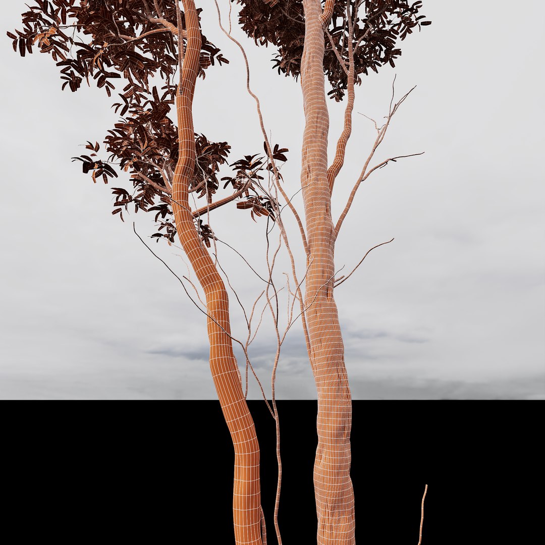 3D 6 Different SETS Of Tree SET VOL11 Model - TurboSquid 2141436