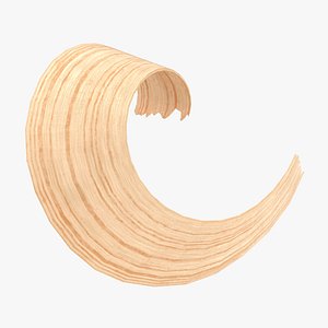 Wood Shavings 07 3D model