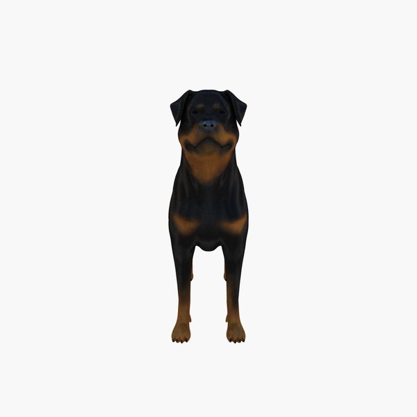 Max rottweiler outlet