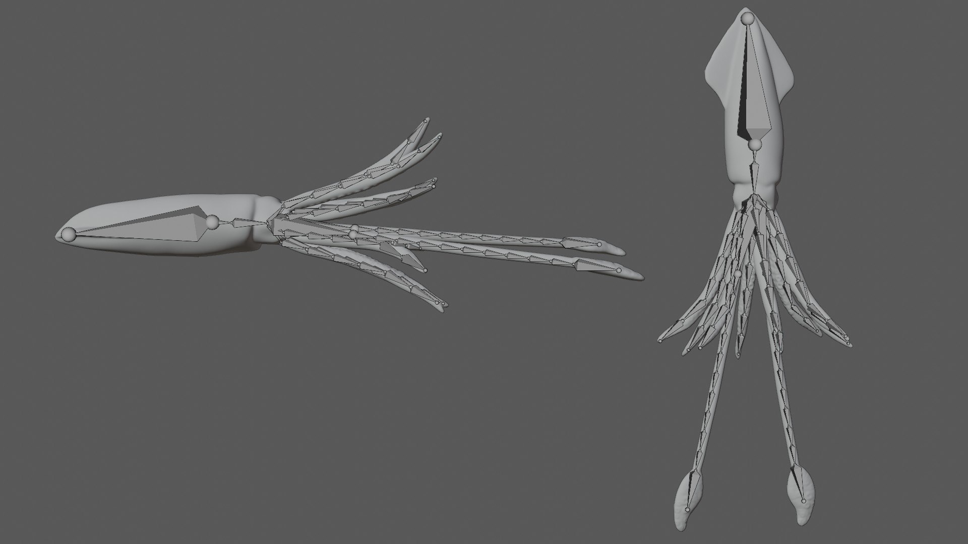 Rigged Squid 3D Model - TurboSquid 1780325