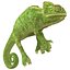 chameleon rigged 3d model