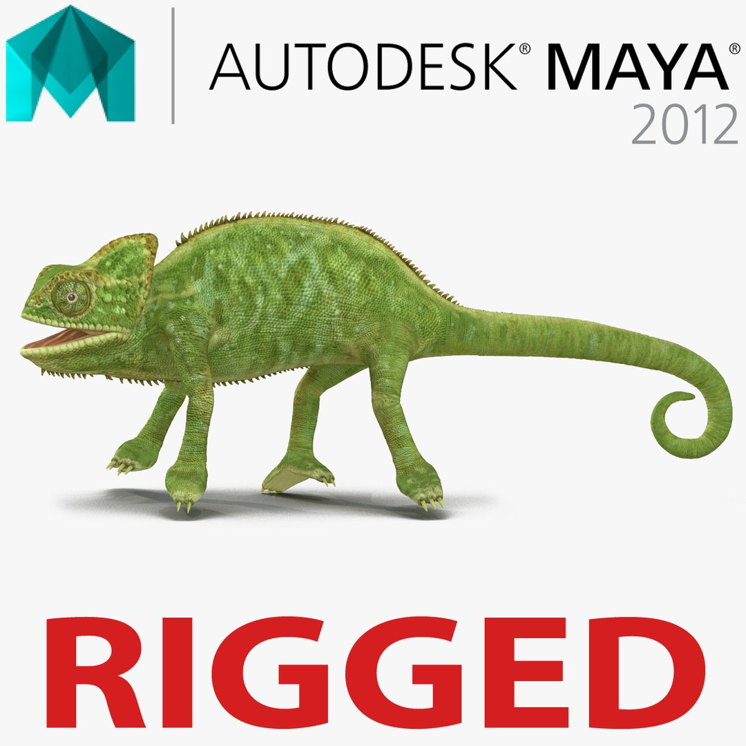 Chameleon Rigged for Maya 3D model preview