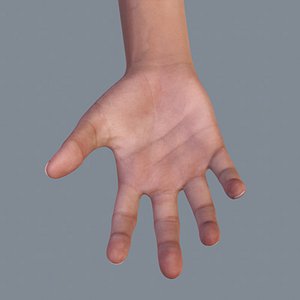 Realistic Hand with Sub Surface Scattering
