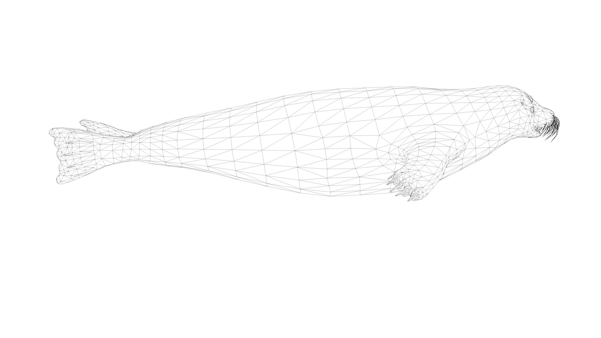 3D Seal Rigged And Animated - TurboSquid 2335784