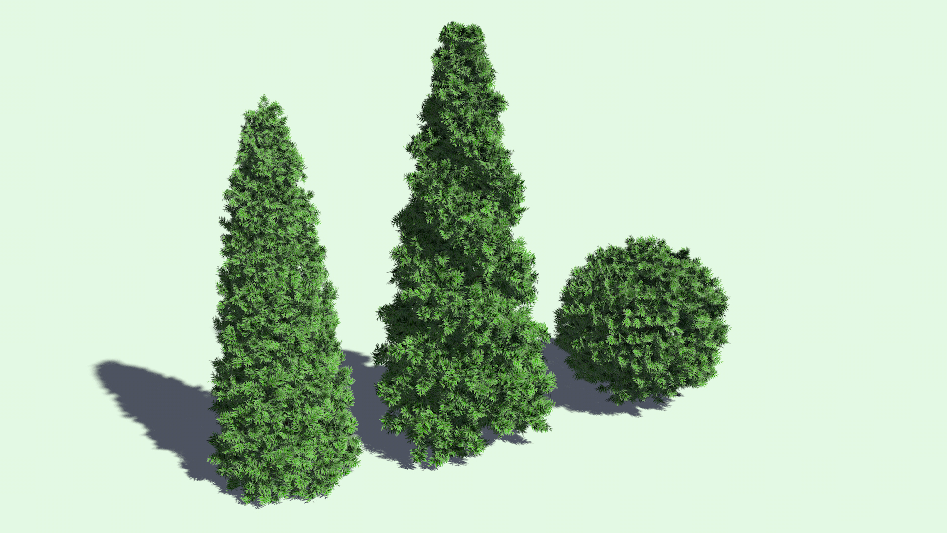 3D thuja tree model - TurboSquid 1671444