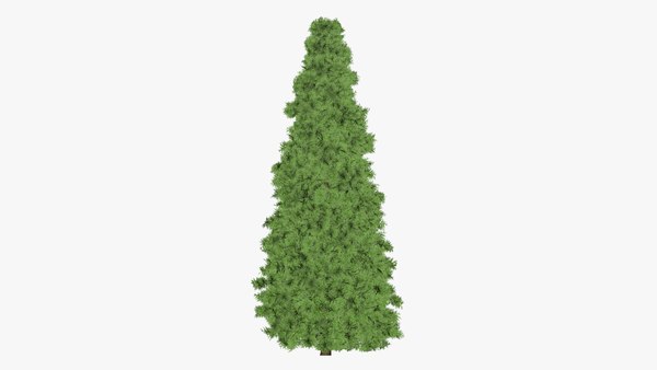 3D thuja tree model - TurboSquid 1671444