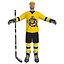 Hokej PACK LOD1 Rigged
