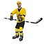 Hokej PACK LOD1 Rigged