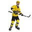 Hokej PACK LOD1 Rigged