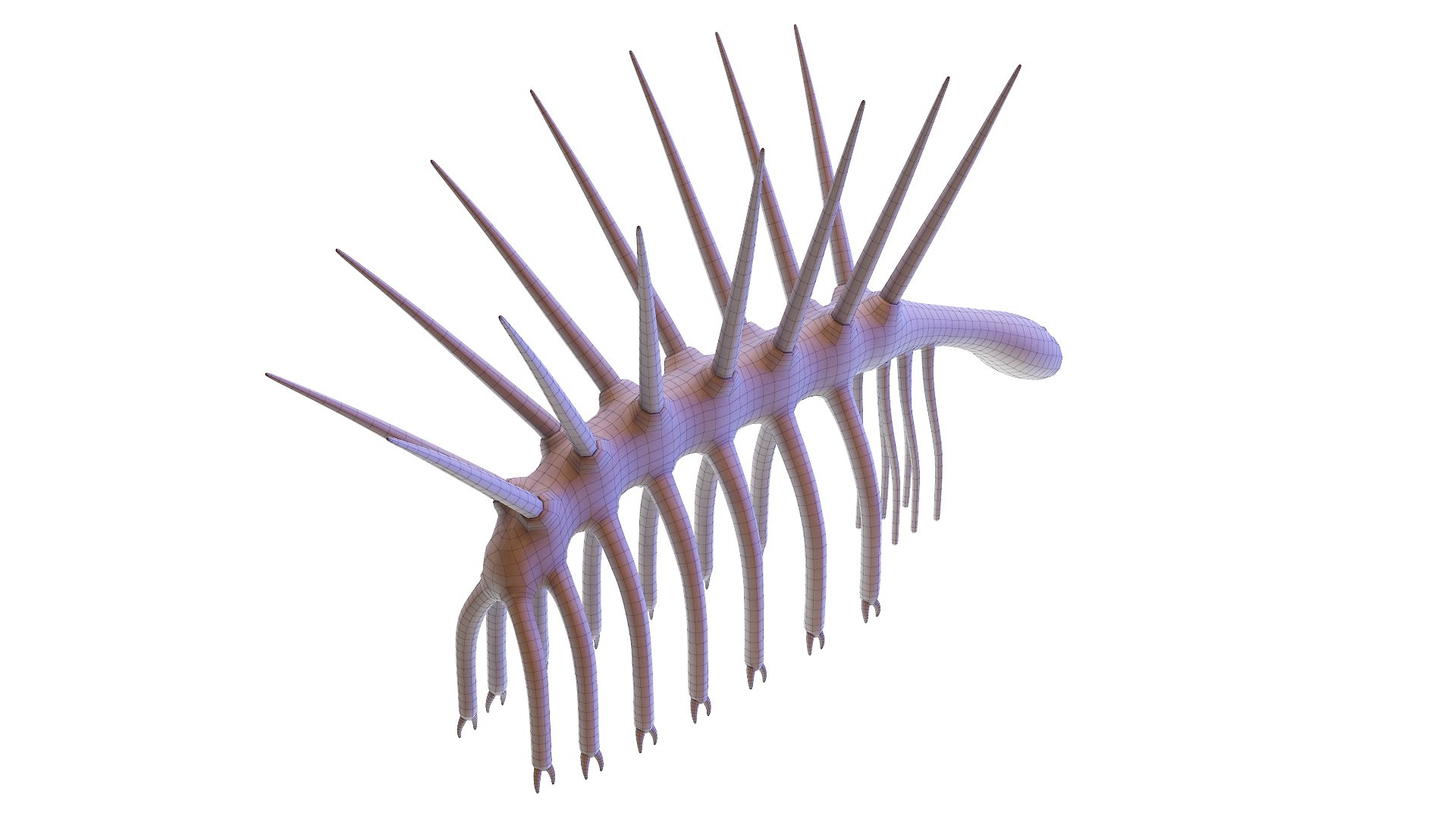 Hallucigenia Animated 3D model https://p.turbosquid.com/ts-thumb/yO/QladsM/5e/hallucigenia_wire0005/jpg/1628705066/1920x1080/fit_q87/44399f00279cabca6e68106c47ed6b37215cae89/hallucigenia_wire0005.jpg