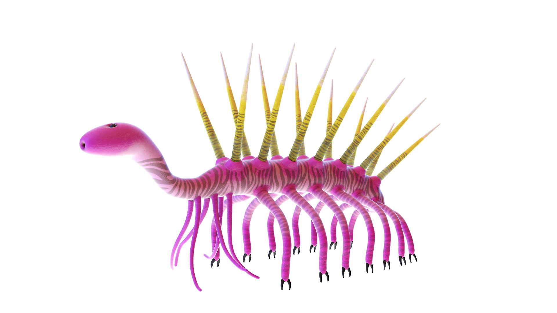Hallucigenia Animated 3D model https://p.turbosquid.com/ts-thumb/yO/QladsM/Cu/hallucigenia_poses0105/jpg/1628760324/1920x1080/fit_q87/da4f5fc816a34ee1941fb8736b47687fa9a8a5d9/hallucigenia_poses0105.jpg