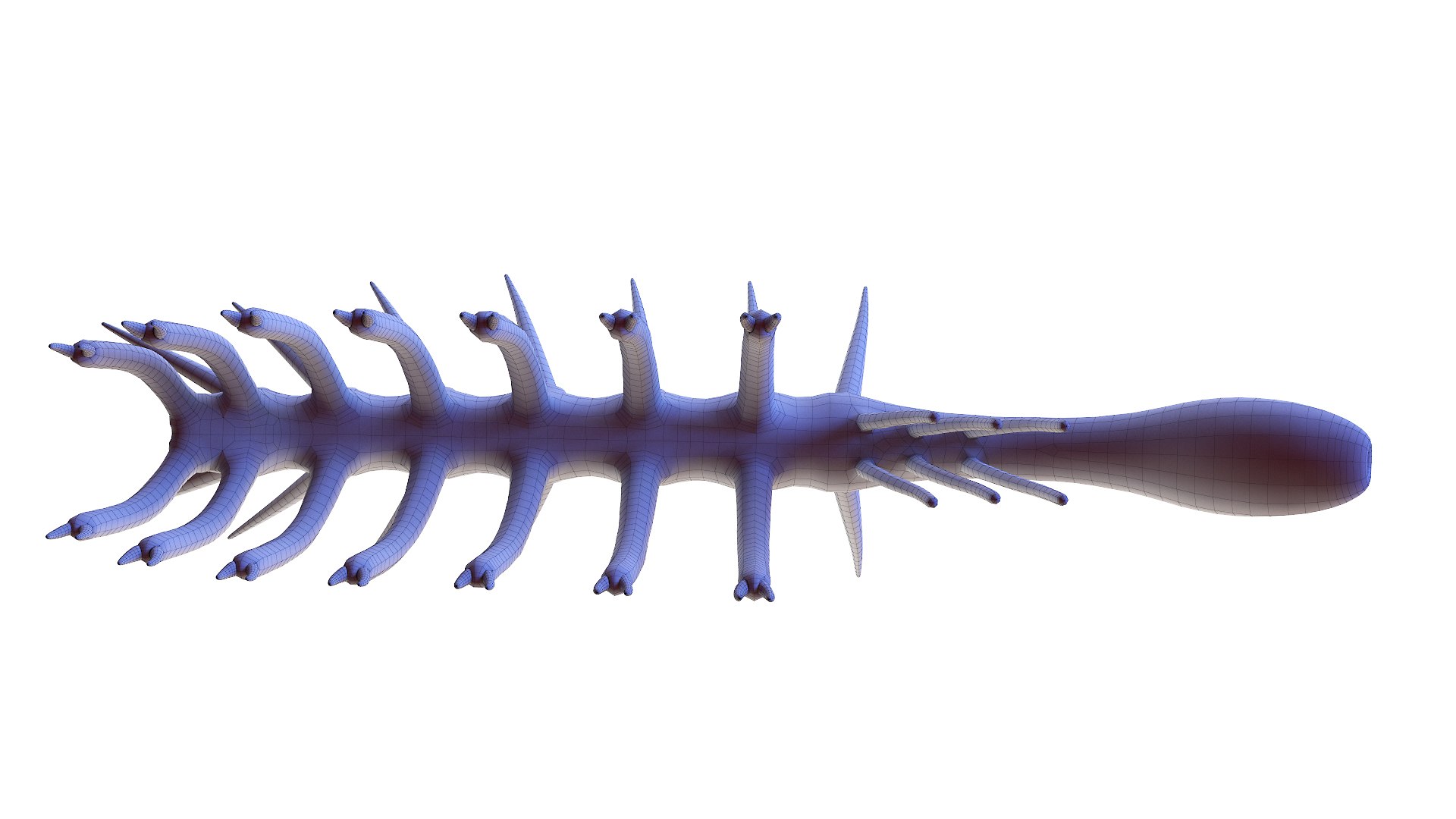 Hallucigenia Animated 3D model https://p.turbosquid.com/ts-thumb/yO/QladsM/DX/hallucigenia_wire0003/jpg/1628705066/1920x1080/fit_q87/b42b60f230df205d303801aff17338eca18a75b1/hallucigenia_wire0003.jpg