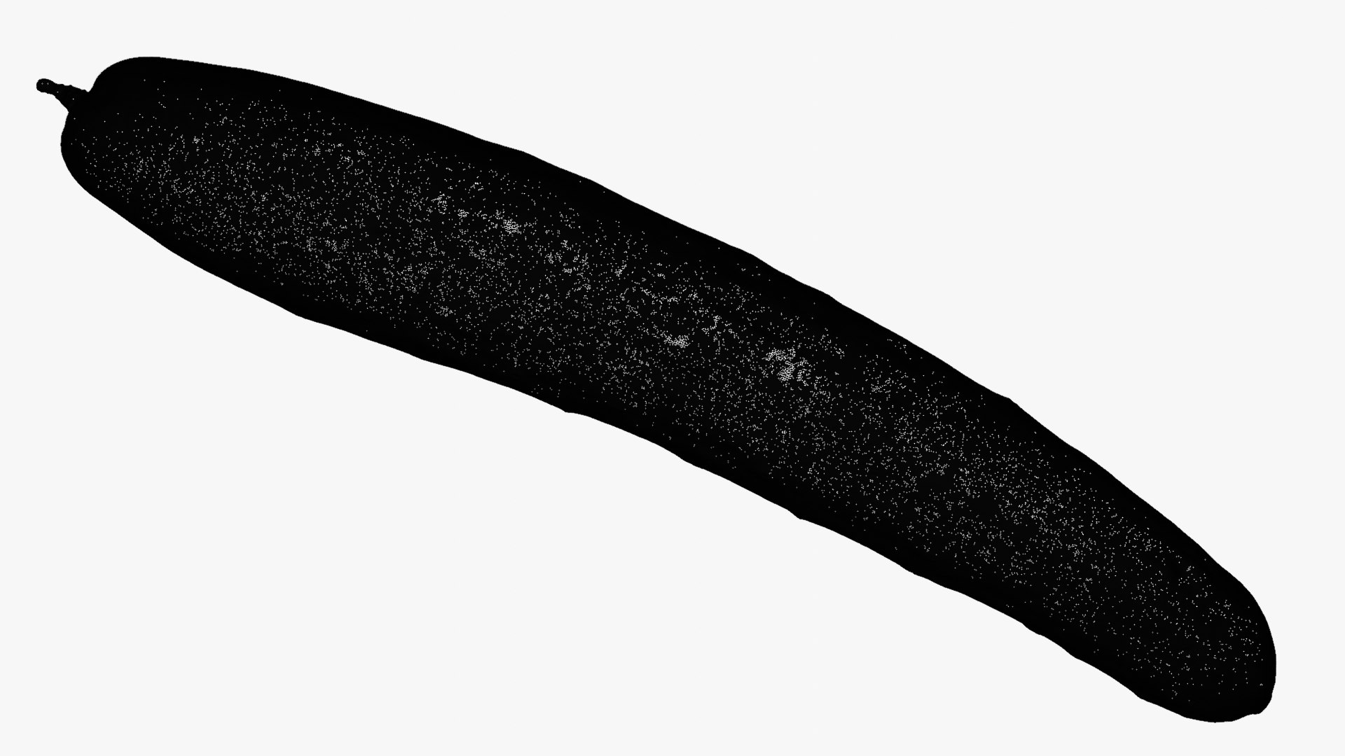 Japanese Cucumber 01 for 3D Print model https://p.turbosquid.com/ts-thumb/yO/RDiH1X/F7/japanesecucumber01_d0000/png/1752492635/1920x1080/fit_q87/4c25578aee21386bd617e1397f1b50eab92bdecf/japanesecucumber01_d0000.jpg