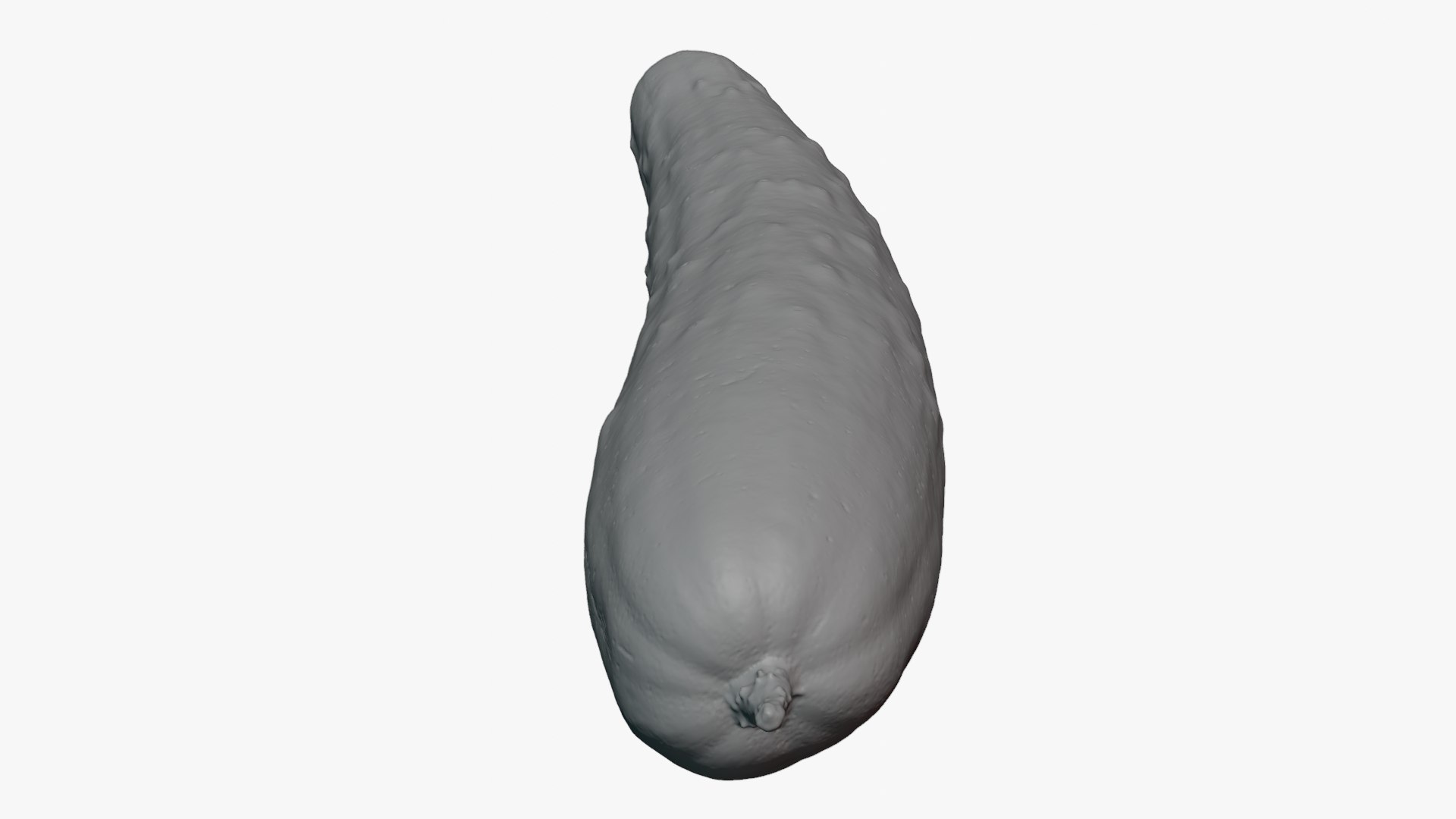Japanese Cucumber 01 for 3D Print model https://p.turbosquid.com/ts-thumb/yO/RDiH1X/xd/japanesecucumber01_0006/png/1752492627/1920x1080/fit_q87/7232dd89bd72058512ce6dd1551b2a6b999a4726/japanesecucumber01_0006.jpg