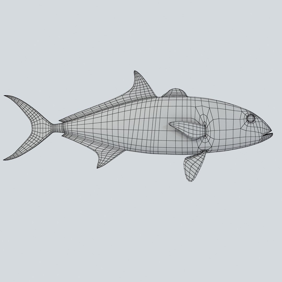 3d fishing amberjack barracuda https://p.turbosquid.com/ts-thumb/yO/RtHaiD/0v2rlWPx/amberjackr1w/jpg/1385170772/1920x1080/fit_q87/d363c93051fe17277c9f9ec0ca86ed9fd5083d69/amberjackr1w.jpg