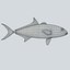 3d fishing amberjack barracuda