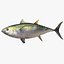 3d fishing amberjack barracuda