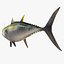3d fishing amberjack barracuda