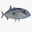 3d fishing amberjack barracuda