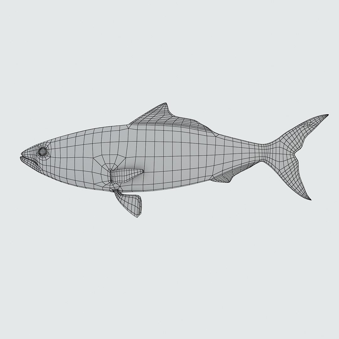 3d fishing amberjack barracuda https://p.turbosquid.com/ts-thumb/yO/RtHaiD/CsbZhv6r/kahawair1w/jpg/1385170774/1920x1080/fit_q87/c37c41edbe424b7982bb05ba4062fb957fe1116a/kahawair1w.jpg