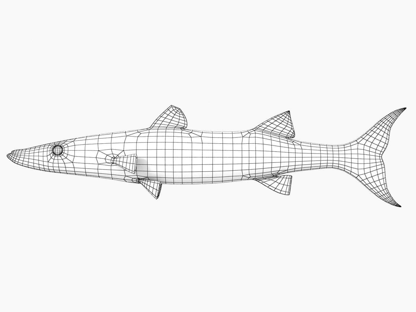 3d fishing amberjack barracuda https://p.turbosquid.com/ts-thumb/yO/RtHaiD/DDfijHle/barracuda_r1w/jpg/1385170773/1920x1080/fit_q87/4816d52bdee10f3fafb40c02d0ffe9295c70e88a/barracuda_r1w.jpg