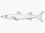 3d fishing amberjack barracuda