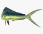 3d fishing amberjack barracuda