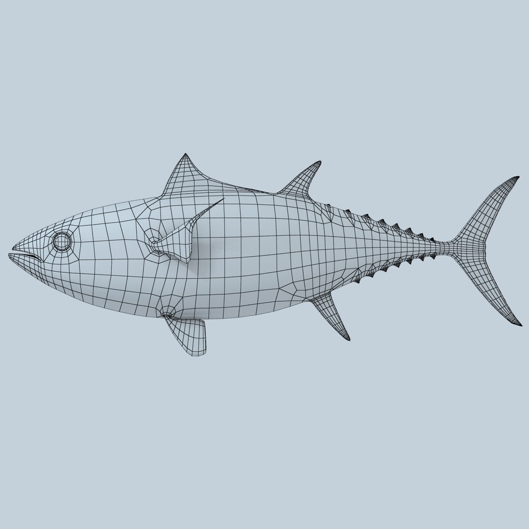 3d fishing amberjack barracuda https://p.turbosquid.com/ts-thumb/yO/RtHaiD/ErdkvWby/yellowtunar1w/jpg/1385170776/1920x1080/fit_q87/c6472ab8b2ac669033d09803004b18ec0325b313/yellowtunar1w.jpg