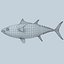 3d fishing amberjack barracuda
