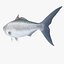 3d fishing amberjack barracuda
