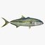 3d fishing amberjack barracuda