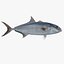 3d fishing amberjack barracuda