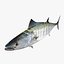 3d fishing amberjack barracuda
