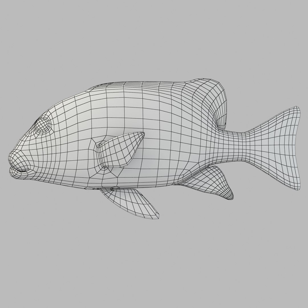 3d fishing amberjack barracuda https://p.turbosquid.com/ts-thumb/yO/RtHaiD/QuTpyFnP/grouperr1w/jpg/1385170774/1920x1080/fit_q87/a15373e6c72823ff55ab2bf25041fb76aaf999cb/grouperr1w.jpg