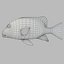 3d fishing amberjack barracuda