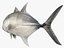 3d fishing amberjack barracuda