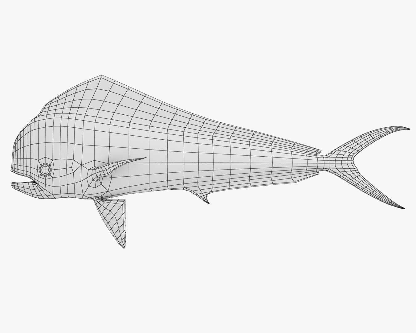 3d fishing amberjack barracuda https://p.turbosquid.com/ts-thumb/yO/RtHaiD/l8K4Fnr9/dorado_r1w/jpg/1385170773/1920x1080/fit_q87/fd46f42bce5c66e34cc8c23b2eab7a560e56e5f2/dorado_r1w.jpg